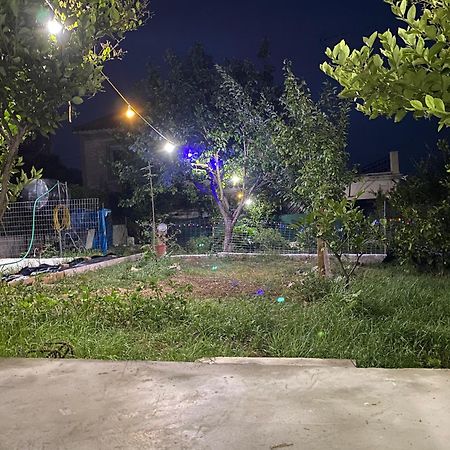 Garden Apartment Mjt Митилини Экстерьер фото