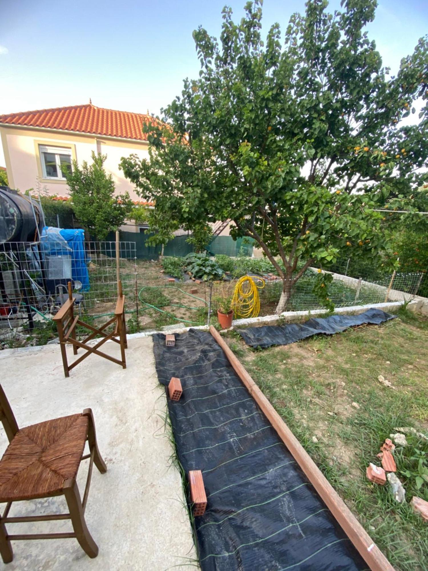 Garden Apartment Mjt Митилини Экстерьер фото